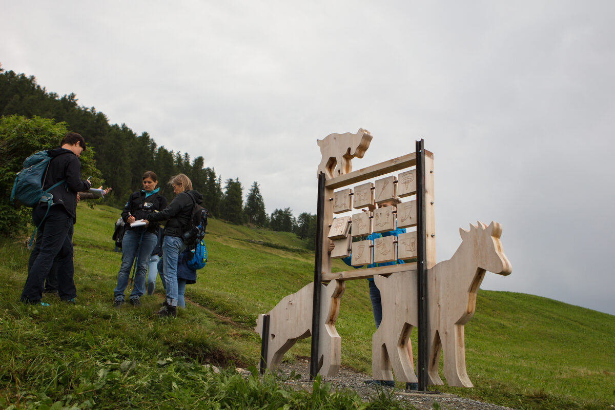 Memo-Spiel mit Holzgeissen am Schellen-Ursli-Weg in Guarda