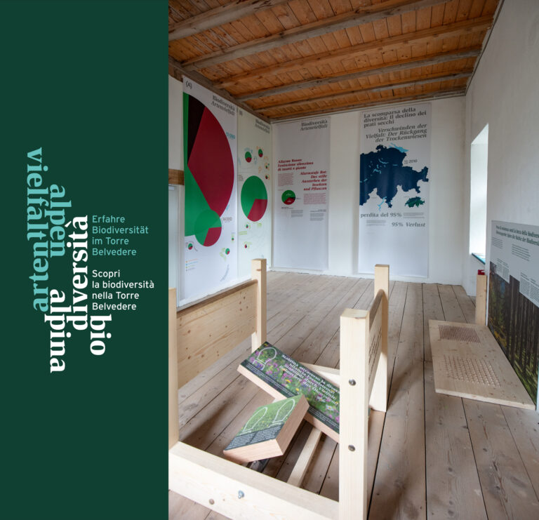 Die Entstehung einer Ausstellung – Wie wir die AlpenArtenvielfalt erlebbar machen