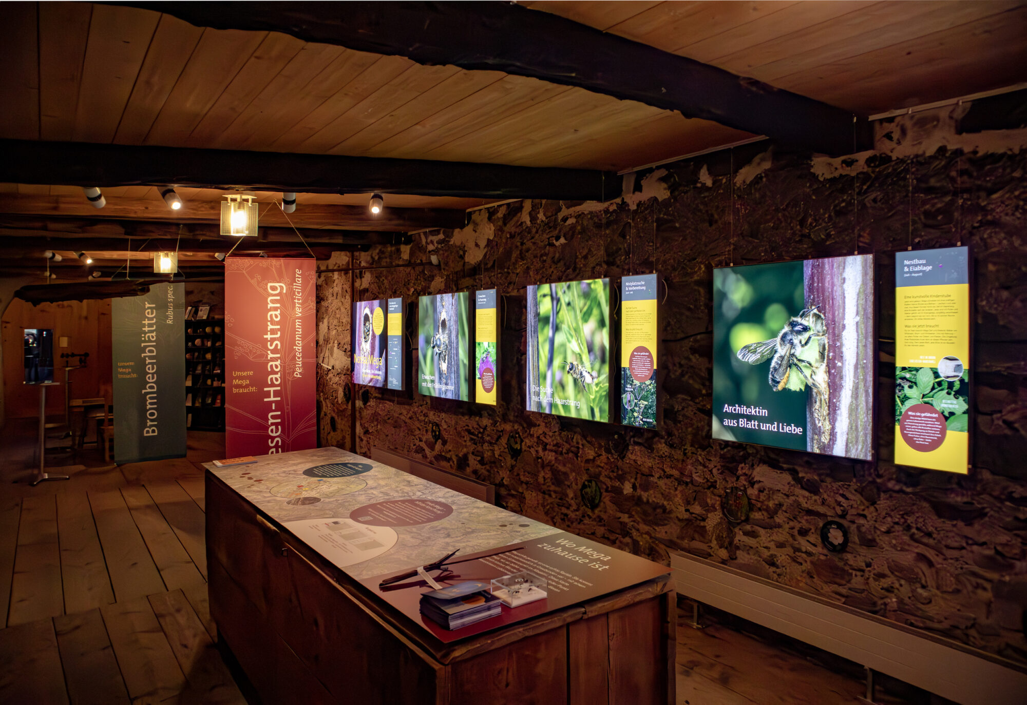 Ausstellung «Nossa Mega» über die Blattschneidebiene Megachile genalis im Ortsmuseum Bergün – Konzept und Gestaltung von Hü7 für den Parc Ela