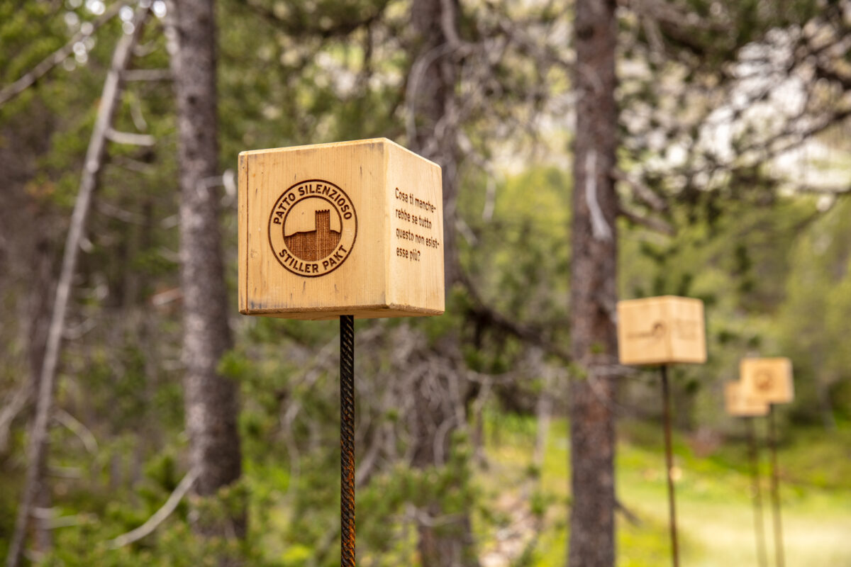 Lärchenholzwürfel auf Eisenstangen im Bergföhrenwald am Themenweg «Ein stiller Pakt», Maloja