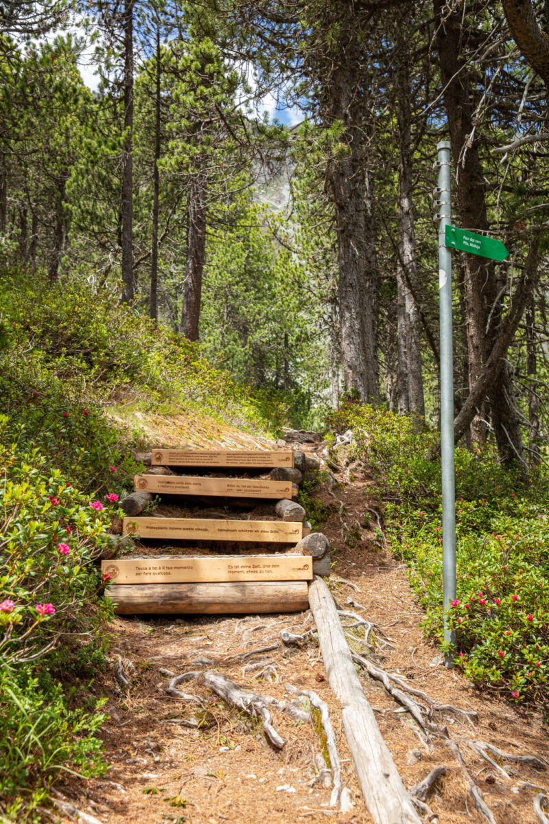 Naturtreppe aus Lärchenholz mit gravierten Texten am Themenweg «Ein stiller Pakt», Maloja