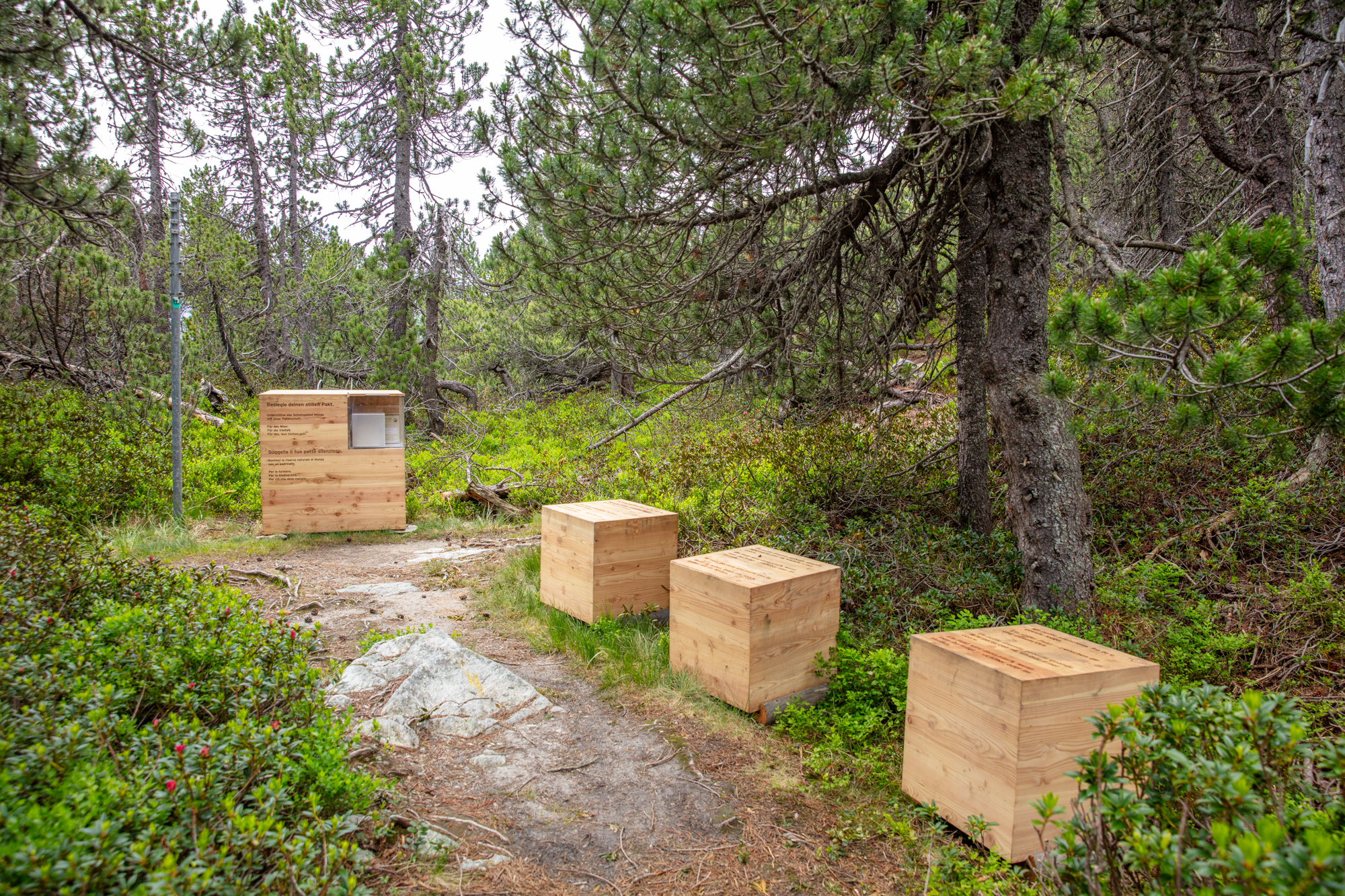 Sitzwürfel aus Holz an einer Station des Naturfensters Torre Belvedere in Maloja