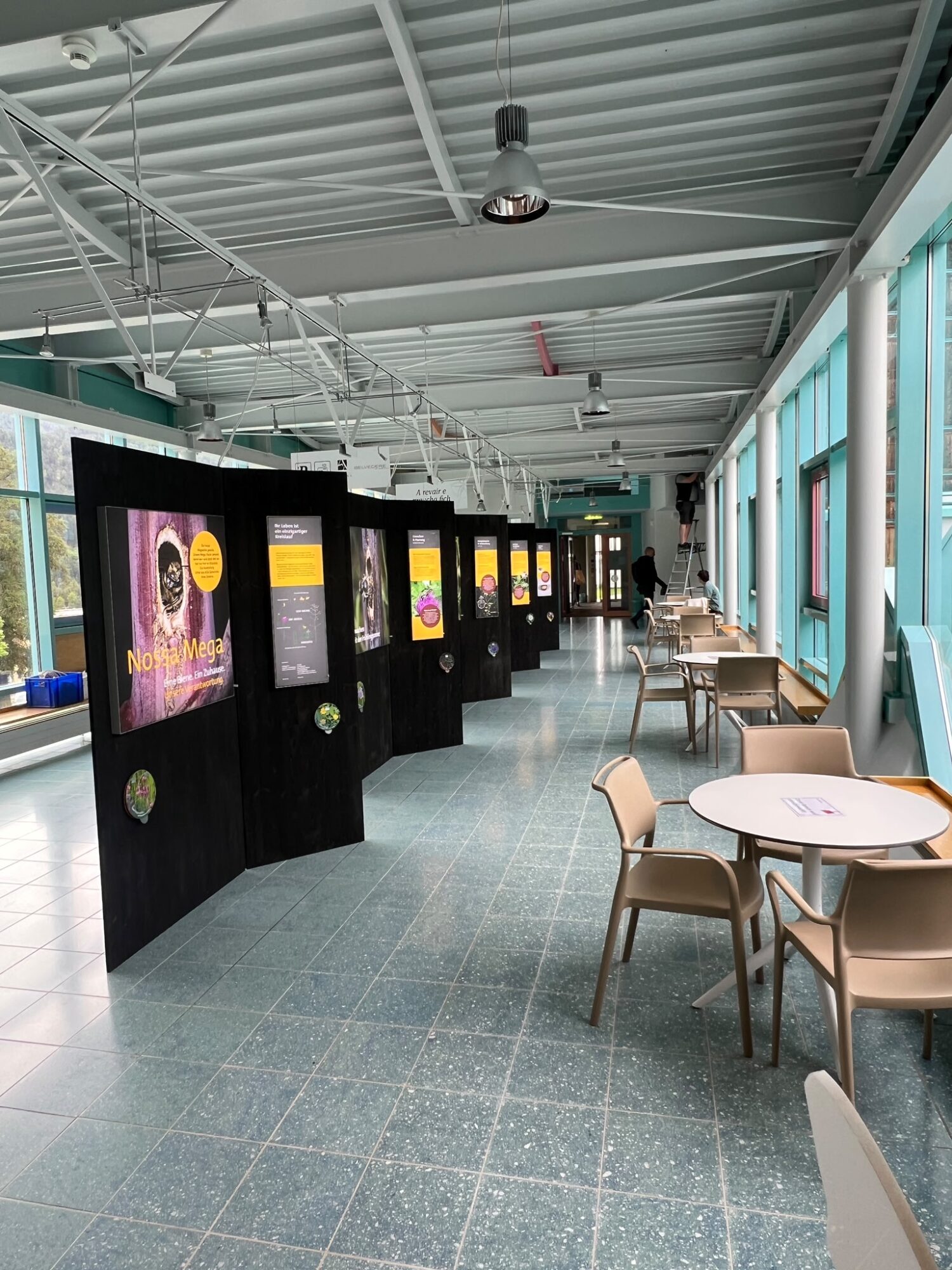Stellwände der Wanderausstellung «Nossa Mega» in der Passarelle des Bogn Engiadina, Scuol