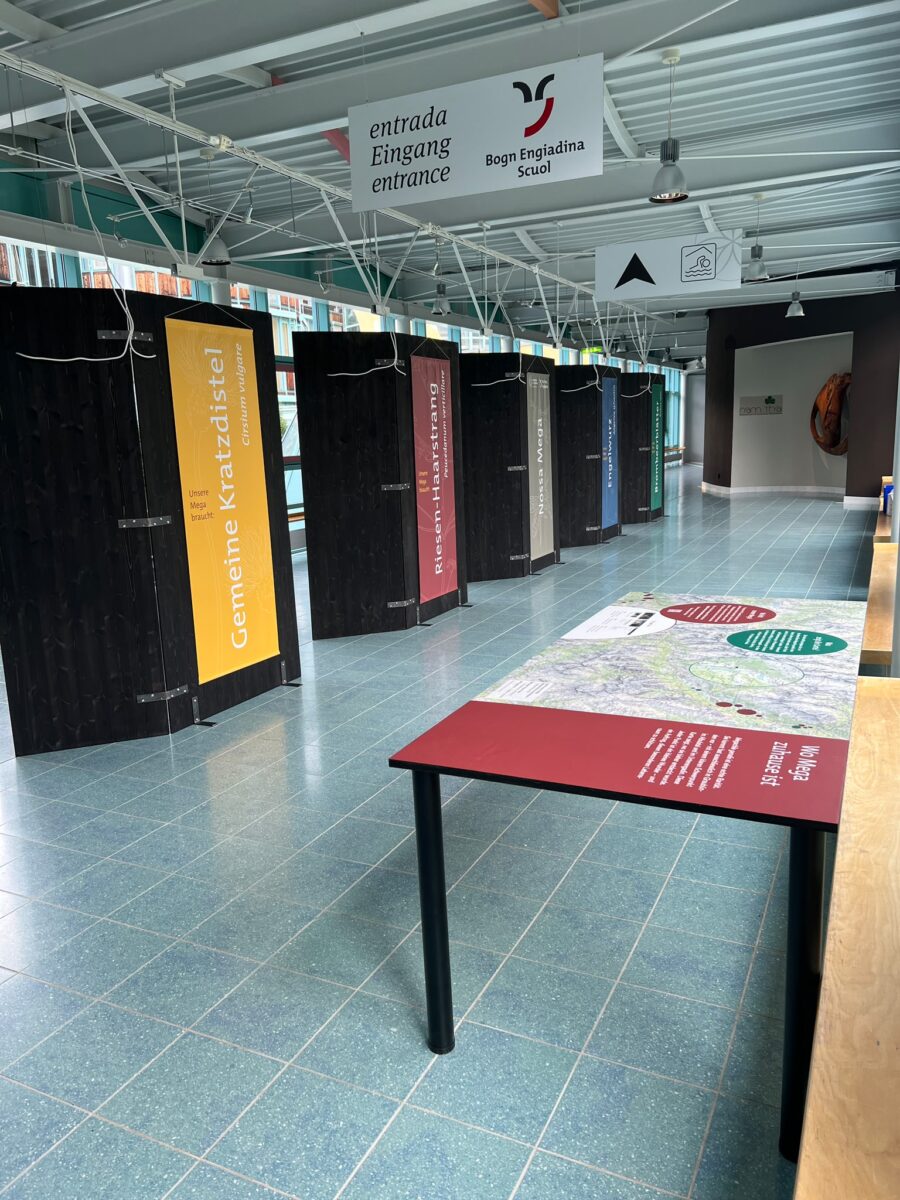 Wanderausstellung «Nossa Mega» am Eingang des Bogn Engiadina in Scuol mit Kartentisch «Wo Mega zuhause ist»